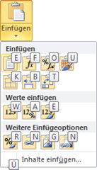 Schaltfläche Einfügen mit Einfügeoptionen