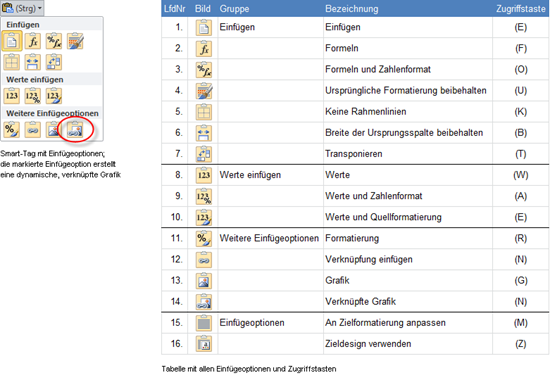 Excel 2010: Smart-Tag und Einfügeoptionen