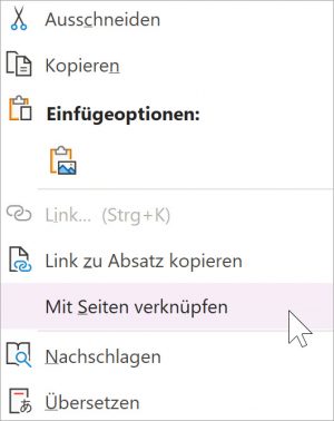 Screenshot einer OneNote-Funktion